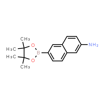 1312611-42-9 | 6-(4,4,5,5-tetramethyl-1,3,2-dioxaborolan-2-yl)naphthalen-2-amine