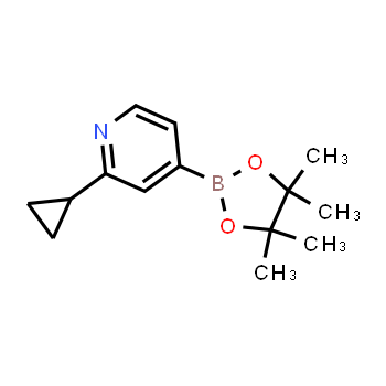 1321518-37-9 | 2-ciclopropil-4-(4,4,5,5-tetrametil-1,3,2-dioxaborolan-2-il)piridina