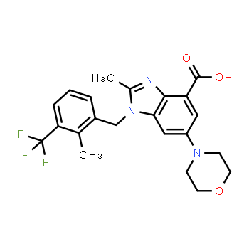 1372540-25-4 | Ácido 2-metil-1-(2-metil-3-(trifluorometil)bencil)-6-morfolino-1H-benzo[d]imidazol-4-carboxílico