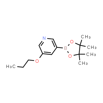 1375301-82-8 | 3-propoxi-5-(4,4,5,5-tetrametil-1,3,2-dioxaborolan-2-il)piridina