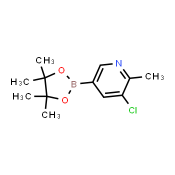 1383985-18-9 | 3-cloro-2-metil-5-(4,4,5,5-tetrametil-1,3,2-dioxaborolan-2-il)piridina