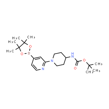 1417628-02-4 | (1-(4-(4,4,5,5-tetrametil-1,3,2-dioxaborolan-2-il)piridin-2-il)piperidin-4-il)carbamato de terc-butilo