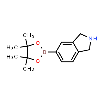1491162-09-4 | 5-(4,4,5,5-tetrametil-1,3,2-dioxaborolan-2-il)isoindolina