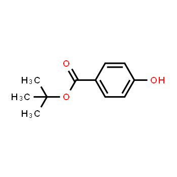 25804-49-3 | 4-hidroxibenzoato de terc-butilo