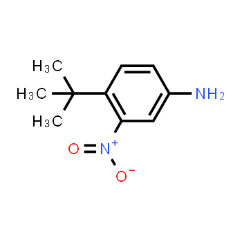 31951-12-9 | 4-terc-butil-3-nitroanilina