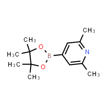 325142-95-8 | 2,6-dimetil-4-(4,4,5,5-tetrametil-1,3,2-dioxaborolan-2-il)piridina