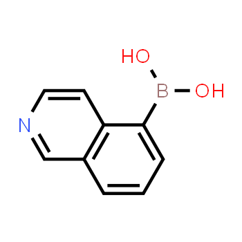 371766-08-4 | Ácido isoquinolin-5-borónico