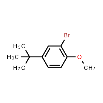 41280-65-3 | 2-Bromo-4-terc-butilanisol