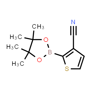 463336-26-7 | 2-(4,4,5,5-tetrametil-1,3,2-dioxaborolan-2-il)tiofeno-3-carbonitrilo