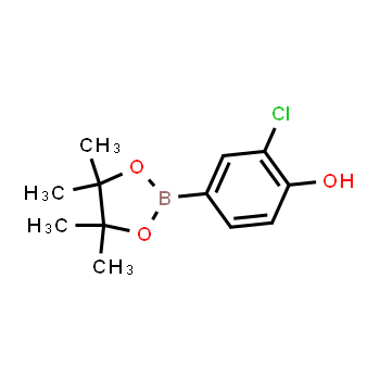 629658-06-6 | 2-chloro-4-(4,4,5,5-tetramethyl-1,3,2-dioxaborolan-2-yl)phenol