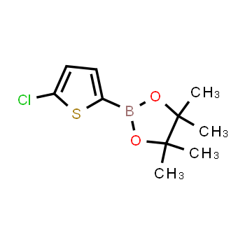 635305-24-7 | 2-(5-clorotiofen-2-il)-4,4,5,5-tetrametil-1,3,2-dioxaborolano