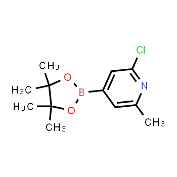 697739-22-3 | 2-cloro-6-metil-4-(4,4,5,5-tetrametil-1,3,2-dioxaborolan-2-il)piridina