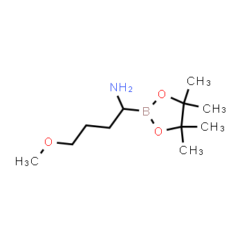 712261-40-0 | 4-methoxy-1-(4,4,5,5-tetramethyl-1,3,2-dioxaborolan-2-yl)butan-1-amine