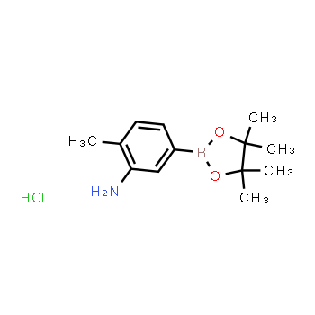 850567-52-1 | clorhidrato de 2-metil-5-(4,4,5,5-tetrametil-1,3,2-dioxaborolan-2-il)anilina