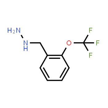 887595-82-6 | {[2-(trifluorometoxi)fenil]metil}hidrazina