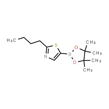 905300-74-5 | 2-butil-5-(4,4,5,5-tetrametil-1,3,2-dioxaborolan-2-il)tiazol