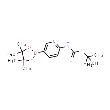 910462-31-6 | (5-(4,4,5,5-tetrametil-1,3,2-dioxaborolan-2-il)piridin-2-il)carbamato de terc-butilo