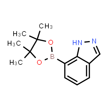 915411-02-8 | 7-(4,4,5,5-tetrametil-1,3,2-dioxaborolan-2-il)-1H-indazol