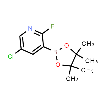 937595-72-7 | 5-cloro-2-fluoro-3-(4,4,5,5-tetrametil-1,3,2-dioxaborolan-2-il)piridina