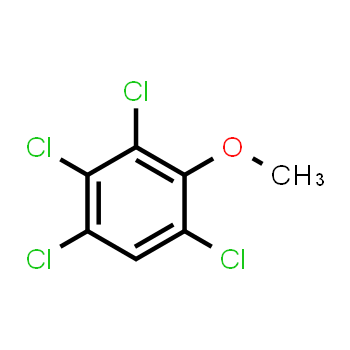 938-22-7 | 2,3,4,6-tetrachloroanisole
