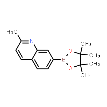 939052-79-6 | 2-metil-7-(4,4,5,5-tetrametil-1,3,2-dioxaborolan-2-il)quinolina