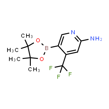 944401-57-4 | 5-(4,4,5,5-tetrametil-1,3,2-dioxaborolan-2-il)-4-(trifluorometil)piridin-2-amina