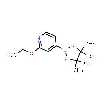 957346-47-3 | 2-etoxi-4-(4,4,5,5-tetrametil-1,3,2-dioxaborolan-2-il)piridina
